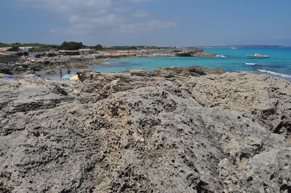 Viviendas Turisticas S'Estanyol 라세비나 외부 사진